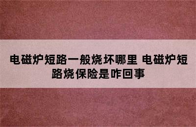 电磁炉短路一般烧坏哪里 电磁炉短路烧保险是咋回事